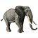 COLECȚIA elefant african