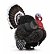 COLLECTA Türkei
