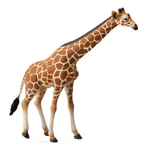SAMMLUNG Giraffe