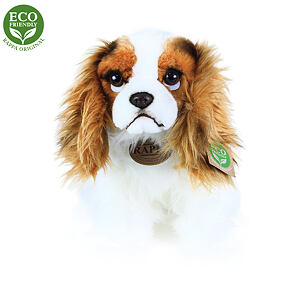 plyšový pes King Charles Španěl, 20 cm