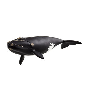 Schleich Velryba severoatlantická