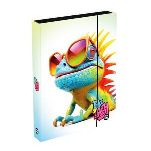 Oxybag Box na zošity A4 Jumbo -  Chameleon