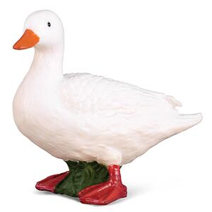 COLLECTA Ente