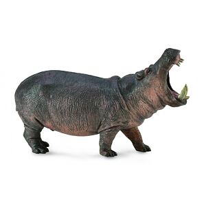 COLLECTA Hroch