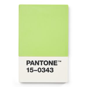 PANTONE Pouzdro na vizitky dárkové balení - Green 15-0343