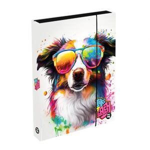 Oxybag Box na zošity A4 Jumbo -  Pes
