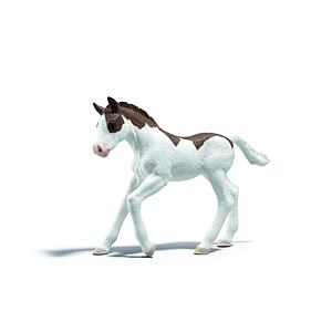 Schleich Zberateľské žriebä Dipper