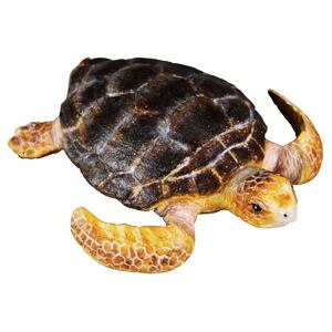 COLLECTA Turtle