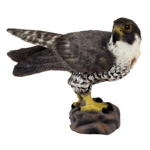 COLLECTA Wanderfalke