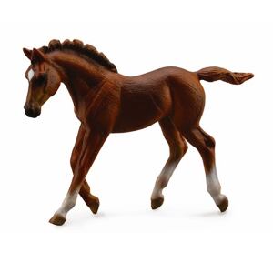 COLLECTA Chestnut hřebec