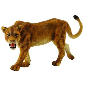 COLLECTA Lions
