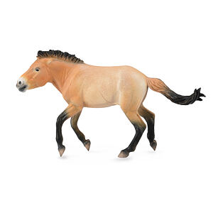 COLLECTA kôň Przewalského