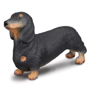 COLLECTA Jezevčík