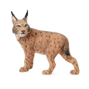 COLLECTA Rys