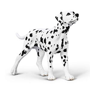 COLECȚIA Dalmațiană