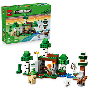 LEGO® Minecraft® 21593 Prvé nočné dobrodružstvo