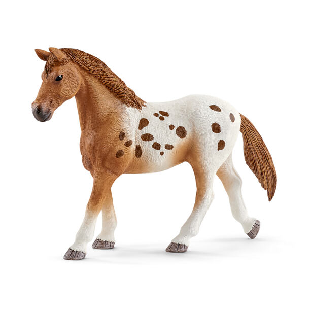 Schleich Appalosské kone a tréningové príslušenstvo