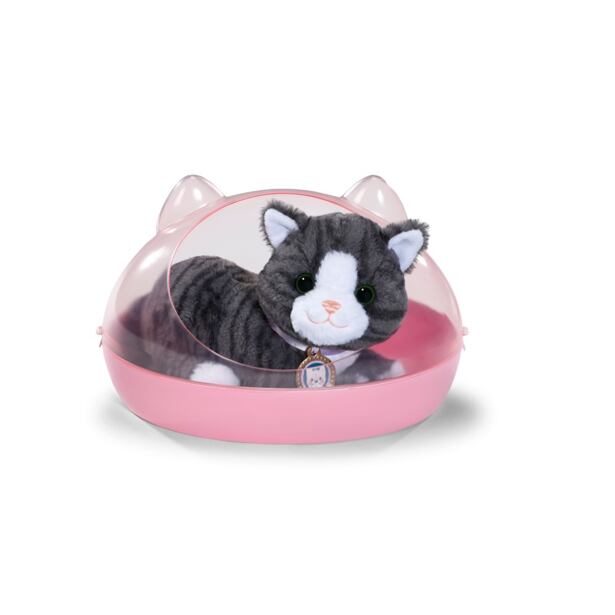 BABY born Mačka Cookie s prepravkou