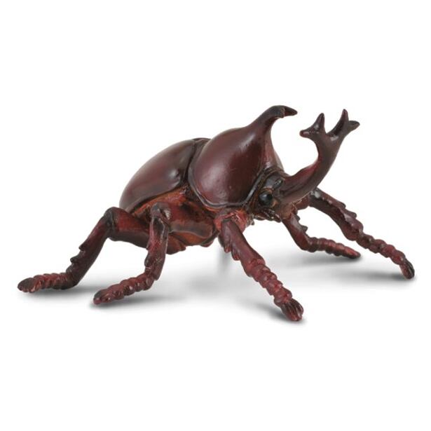 COLLECTA Nosorožík kapucín