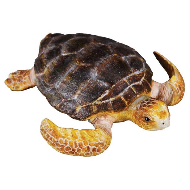 COLLECTA Turtle