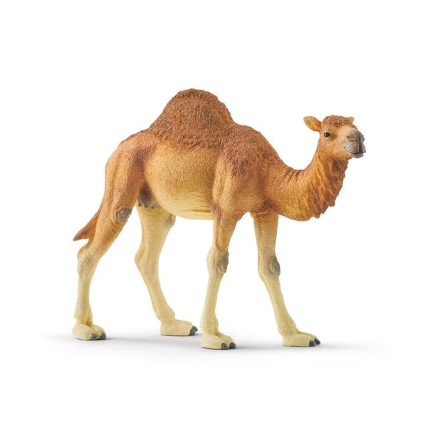 Schleich Dromedár