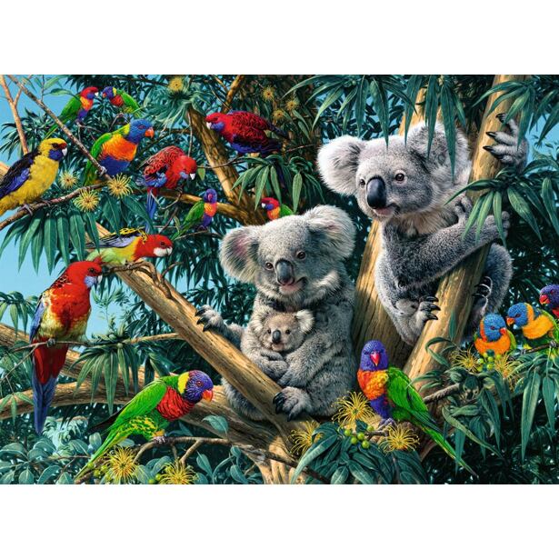 Ravensburger Koaly na strome 500 dielikov