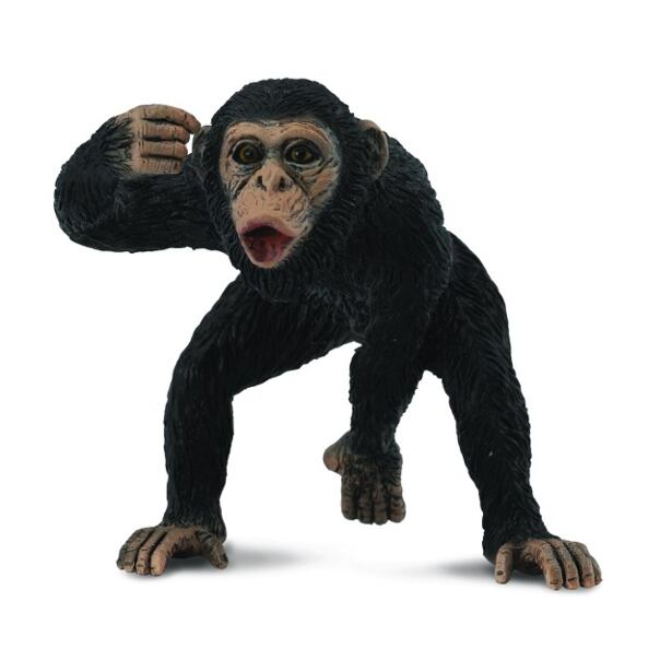 COLLECTA Šimpanz