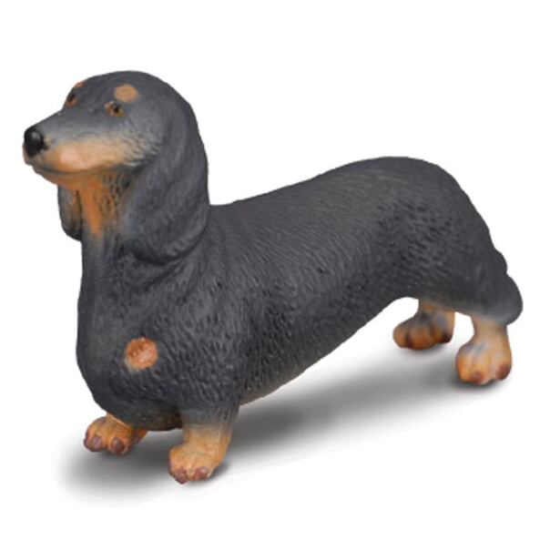 COLLECTA Jezevčík