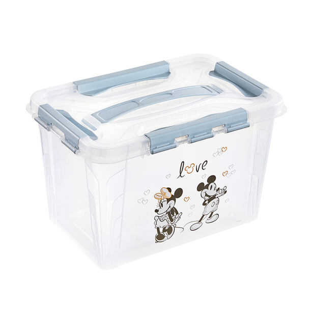 Domáci úložný box Mickey 6,6l