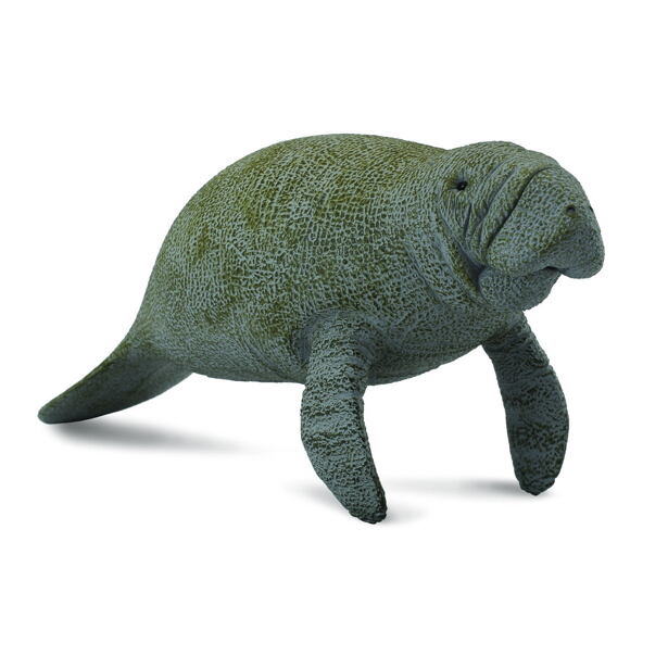 COLLECTA Kapustňák