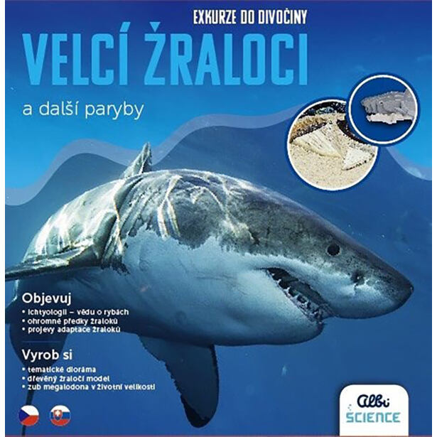 Albi Science Exkurze do divočiny - Žraloci