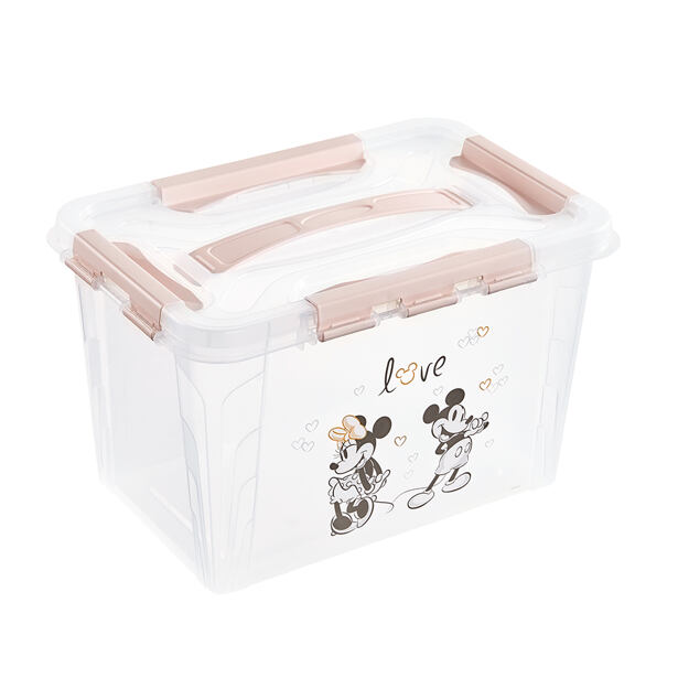 Domáci úložný box Minnie 6,6 l