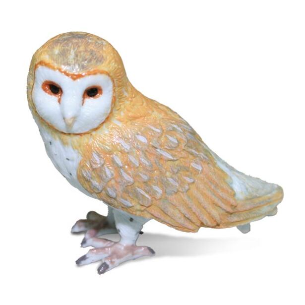 COLLECTA Schleiereule