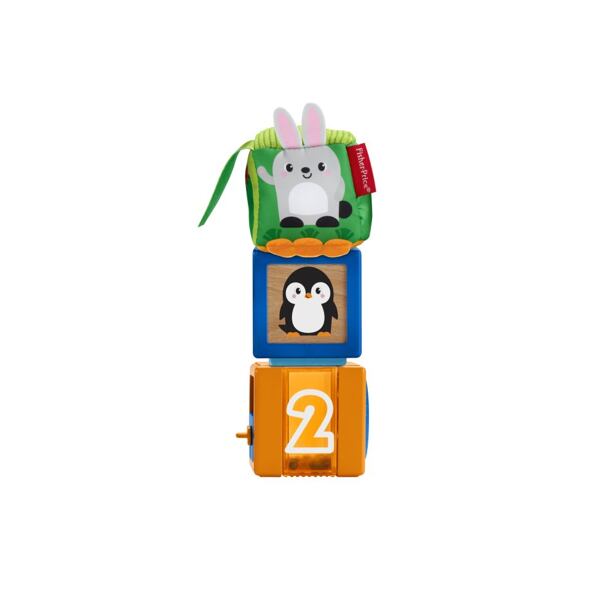 Fisher Price Kostky pro rozvoj smyslů