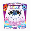Spin Master Hatchimals Liahnúce sa interaktívne zvieratko Dráčik