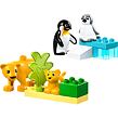 LEGO® DUPLO® 10442 Rodinky divokých zvierat: Tučniaky a levy