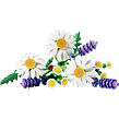 LEGO® Botanicals 11508 Kopretiny