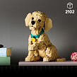 LEGO® Icons 11384 Štěně zlatého retrívra