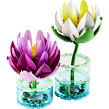 LEGO® Botanicals 11511 Lekná