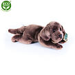 Plyšový pes 3 druhy ležiace so zvukom, jack russel, labrador a nemecký ovčiak, 18cm ECO-FRIENDLY