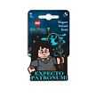 LEGO Harry Potter magnetka