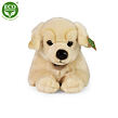 Rappa Plyšový pes zlatý retriever ležiaci 39 cm ECO-FRIENDLY
