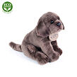 Rappa Plyšový pes labrador sedící 20 cm, 2 druhy