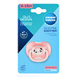 Canpol babies Cumlík silikónový symetrický EXOTIC ANIMALS 6-18m 1ks panda