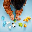 LEGO® DUPLO® 10442 Rodinky divokých zvierat: Tučniaky a levy
