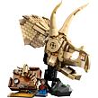LEGO® Jurrasic World 76969 Dinosaurie fosílie: Lebka triceratopse
