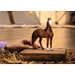 Schleich Klisna marwari
