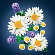 LEGO® Botanicals 11508 Kopretiny