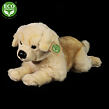 Rappa Plyšový pes zlatý retriever ležiaci 39 cm ECO-FRIENDLY