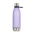 PASTELINI OXY BoLT Flasche 680 ml - lila